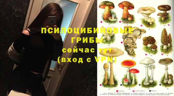 спиды Карталы