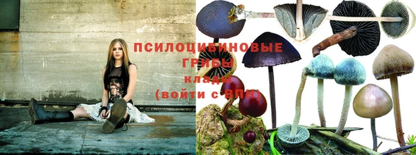метадон Карпинск