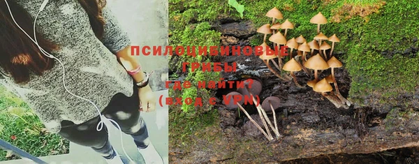 метадон Карпинск