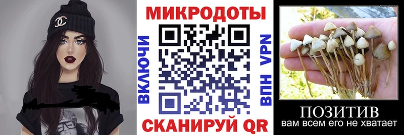 Купить  Тутаев  Галлюциногенные грибы прущие грибы 